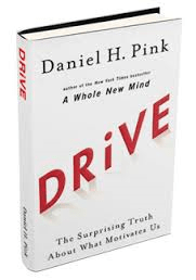 Drive: The Surprising Truth About What Motivates Us